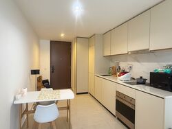 Kopar At Newton (D9), Apartment #567423691